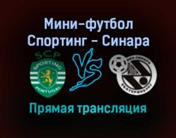 Мини-футбол Спортинг — Синара прямая трансляция 5 декабря 2021 года