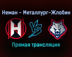 Неман — Металлург-Жлобин прямая трансляция 21 декабря 2021 года