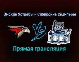 Омские Ястребы — Сибирские Снайперы прямая трансляция 21 декабря 2021 года