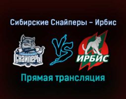 Сибирские Снайперы — Ирбис прямая трансляция 16 декабря 2021 года