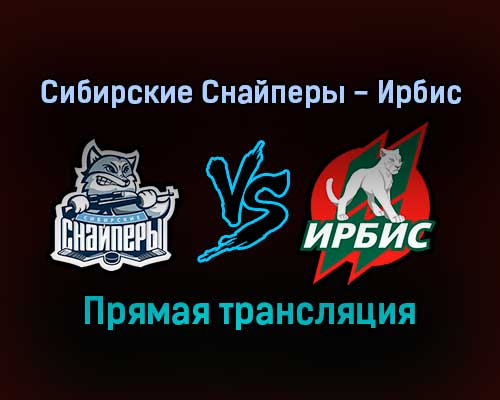 Сибирские Снайперы — Ирбис прямая трансляция 16 декабря 2021 года Сибирские Снайперы — Ирбис прямая трансляция 16 декабря 2021 года
