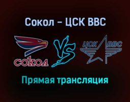 Сокол — ЦСК ВВС прямая трансляция 20 декабря 2021 года