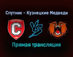 Спутник — Кузнецкие Медведи прямая трансляция 13 декабря 2021 года