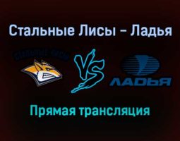 Стальные Лисы — Ладья прямая трансляция 11 декабря 2021 года