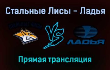 Стальные Лисы — Ладья прямая трансляция 11 декабря 2021 года