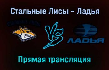 Стальные Лисы — Ладья прямая трансляция 13 декабря 2021 года