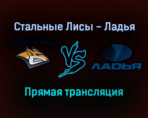 Стальные Лисы — Ладья прямая трансляция 13 декабря 2021 года