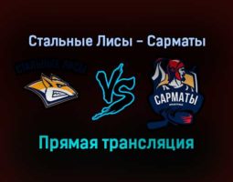 Стальные Лисы — Сарматы прямая трансляция 16 декабря 2021 года