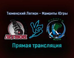 Тюменский Легион — Мамонты Югры прямая трансляция 11 декабря 2021 года