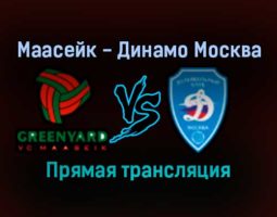 Волейбол Маасейк — Динамо Москва прямая трансляция 14 декабря 2021 года