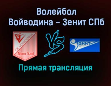Волейбол Войводина — Зенит СПб прямая трансляция 15 декабря 2021 года