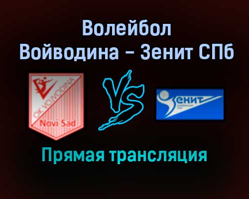 Волейбол Войводина — Зенит СПб прямая трансляция 15 декабря 2021 года