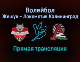 Волейбол Жешув — Локомотив Калининград прямая трансляция 21 декабря 2021 года