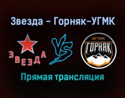 Звезда — Горняк-УГМК прямая трансляция 19 декабря 2021 года