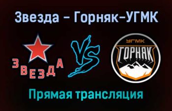 Звезда — Горняк-УГМК прямая трансляция 19 декабря 2021 года