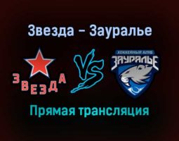 Звезда — Зауралье прямая трансляция 21 декабря 2021 года