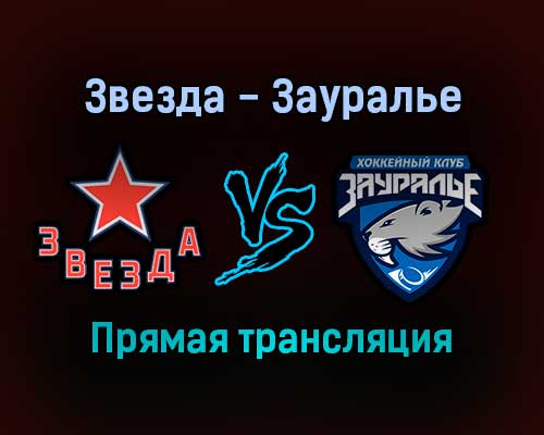 Звезда — Зауралье прямая трансляция 21 декабря 2021 года Звезда — Зауралье прямая трансляция 21 декабря 2021 года