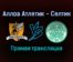 Аллоа Атлетик — Селтик прямая трансляция 22 января 2022 года