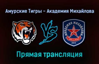 Амурские Тигры — Академия Михайлова прямая трансляция 4 января 2022 года
