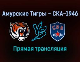 Амурские Тигры — СКА-1946 прямая трансляция 26 января 2022 года