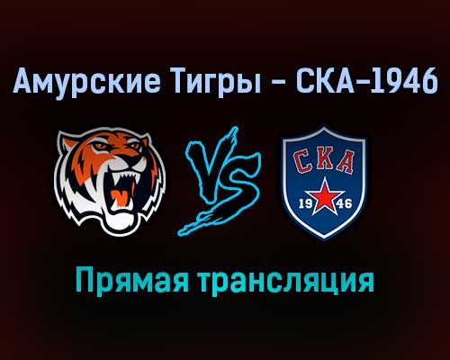 Амурские Тигры — СКА-1946 прямая трансляция 26 января 2022 года