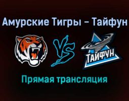 Амурские Тигры — Тайфун прямая трансляция 20 января 2022 года