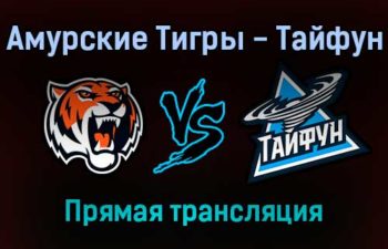 Амурские Тигры — Тайфун прямая трансляция 20 января 2022 года