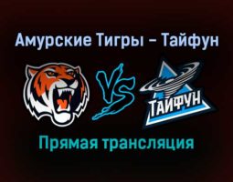 Амурские Тигры — Тайфун прямая трансляция 21 января 2022 года
