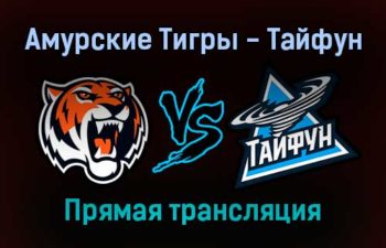Амурские Тигры — Тайфун прямая трансляция 21 января 2022 года