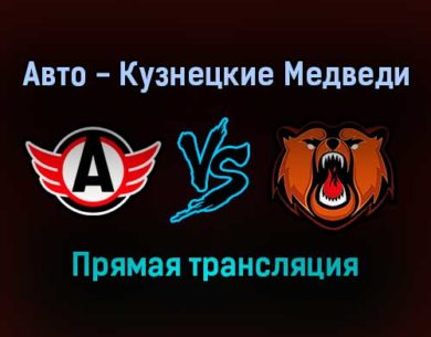 Авто — Кузнецкие Медведи прямая трансляция 14 января 2022 года