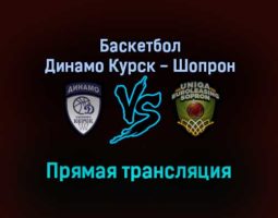 Баскетбол Динамо Курск — Шопрон прямая трансляция 19 января 2022 года