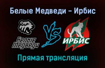 Белые Медведи — Ирбис прямая трансляция 4 января 2022 года