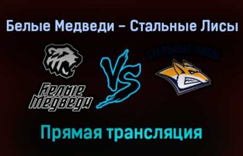 Белые Медведи — Стальные Лисы прямая трансляция 25 января 2022 года