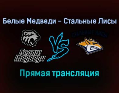 Белые Медведи — Стальные Лисы прямая трансляция 25 января 2022 года