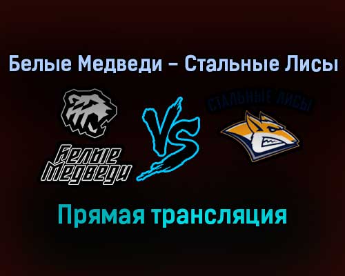 Белые Медведи — Стальные Лисы прямая трансляция 25 января 2022 года