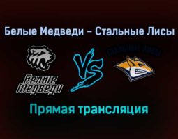 Белые Медведи — Стальные Лисы прямая трансляция 26 января 2022 года