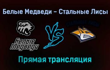 Белые Медведи — Стальные Лисы прямая трансляция 26 января 2022 года