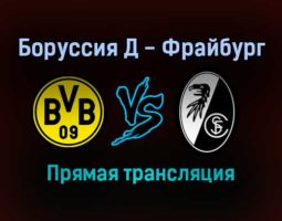 Боруссия Д — Фрайбург прямая трансляция 14 января 2022 года