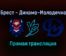 Брест — Динамо-Молодечно прямая трансляция 29 января 2022 года