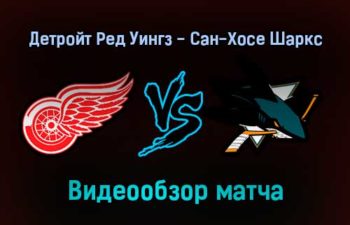 Детройт Ред Уингз — Сан-Хосе Шаркс 5 января 2022 года обзор матча