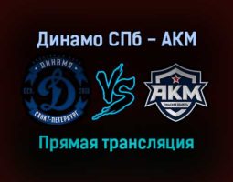 Динамо СПб — АКМ прямая трансляция 29 января 2022 года