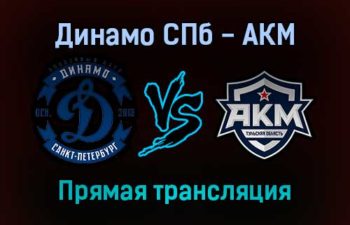 Динамо СПб — АКМ прямая трансляция 29 января 2022 года
