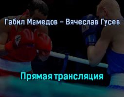 Габил Мамедов — Вячеслав Гусев прямая трансляция 31 января 2022 года
