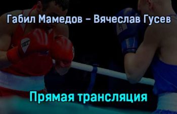 Габил Мамедов — Вячеслав Гусев прямая трансляция 31 января 2022 года