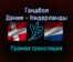 Гандбол Дания — Нидерланды прямая трансляция 24 января 2022 года