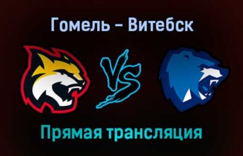 Гомель — Витебск прямая трансляция 14 января 2022 года