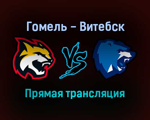 Гомель — Витебск прямая трансляция 16 января 2022 года