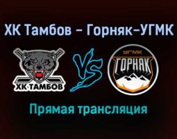ХК Тамбов — Горняк-УГМК прямая трансляция 19 января 2022 года