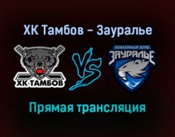 ХК Тамбов — Зауралье прямая трансляция 21 января 2022 года