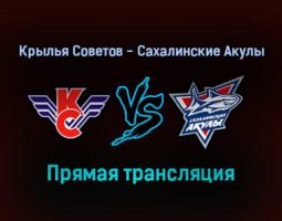 Крылья Советов — Сахалинские Акулы прямая трансляция 16 января 2022 года